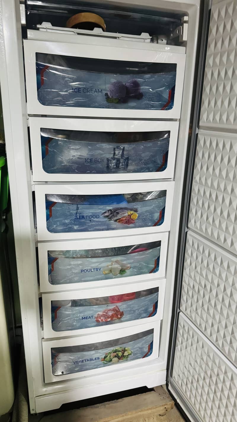 Vertical freezer 1