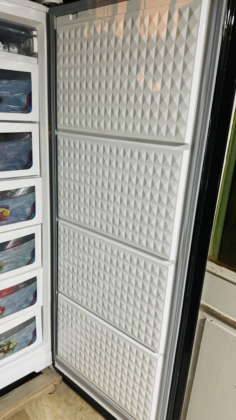 Vertical freezer 2