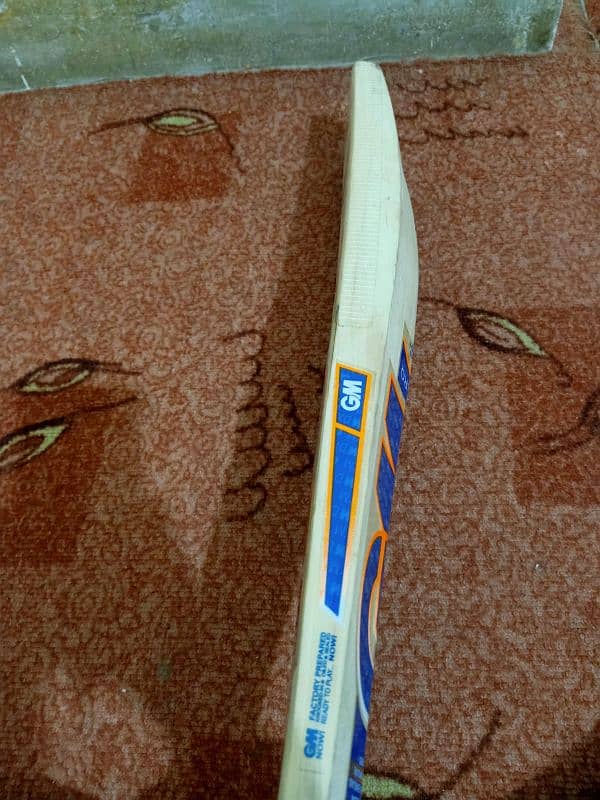 cricket hardball Mids original bat 2