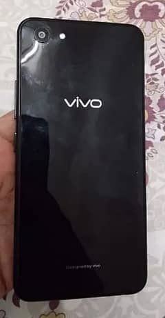 Vivo