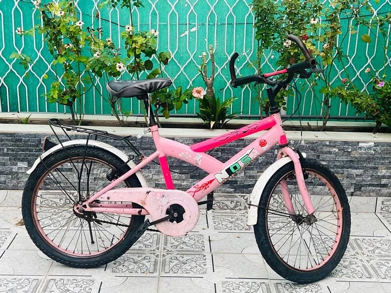 pink cycle 0