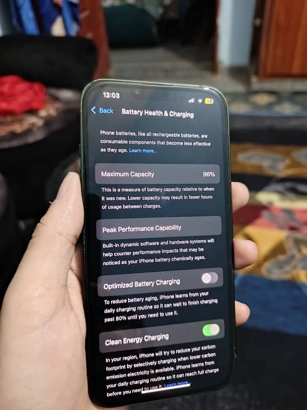 Iphone 13 non pta jv alpine green 4