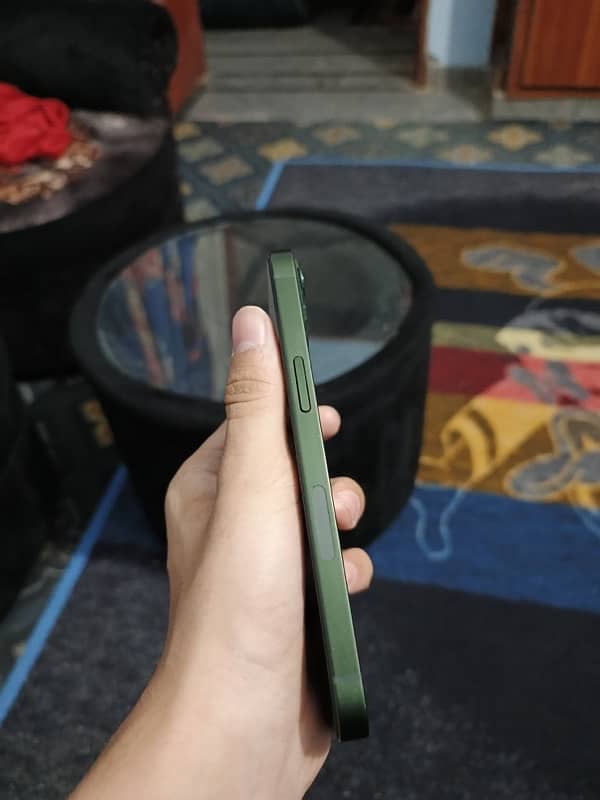 Iphone 13 non pta jv alpine green 10