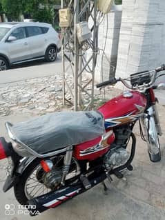 Honda 125 2019/2020