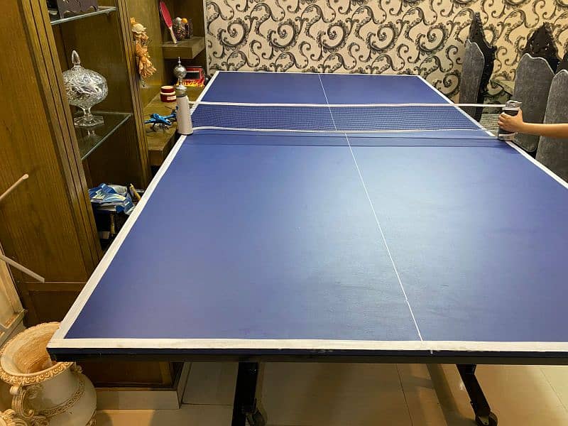 Table Tennis flodable table with kit 2