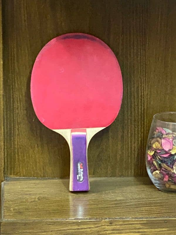 Table Tennis flodable table with kit 3