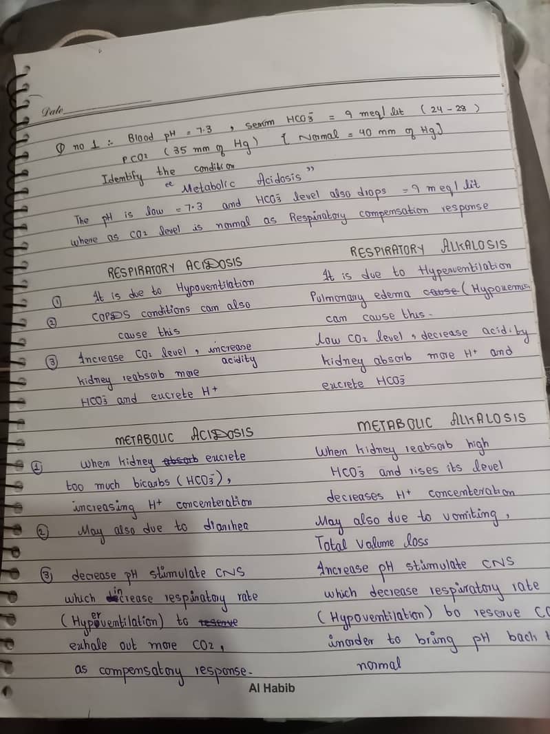 Handwritten assignments 0