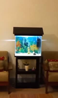 Fish Aquarium Only glass for Sale