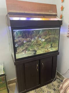 3ft Aquarium For Sale