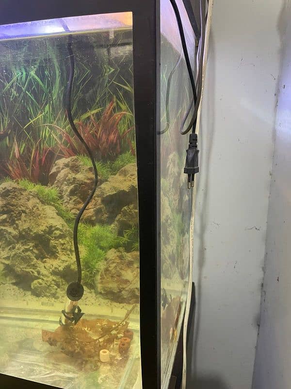 3ft Aquarium For Sale 1