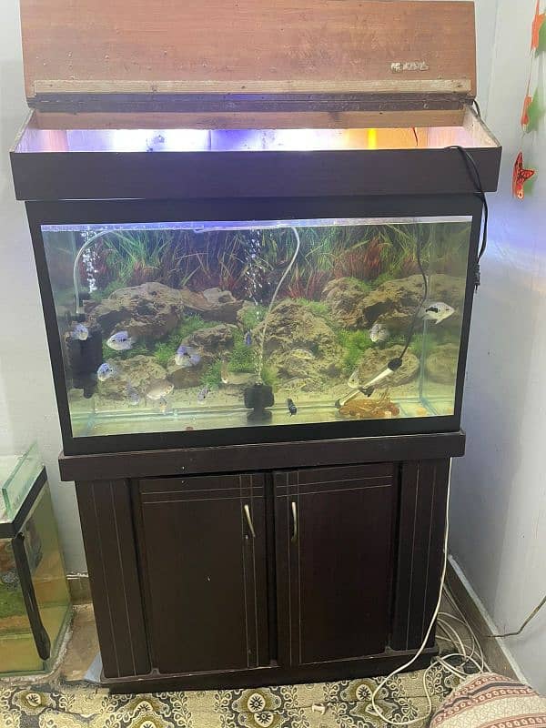 3ft Aquarium For Sale 3