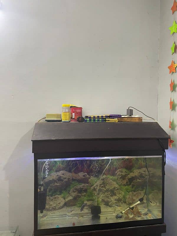 3ft Aquarium For Sale 4