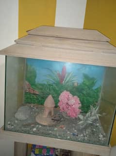 Aquarium