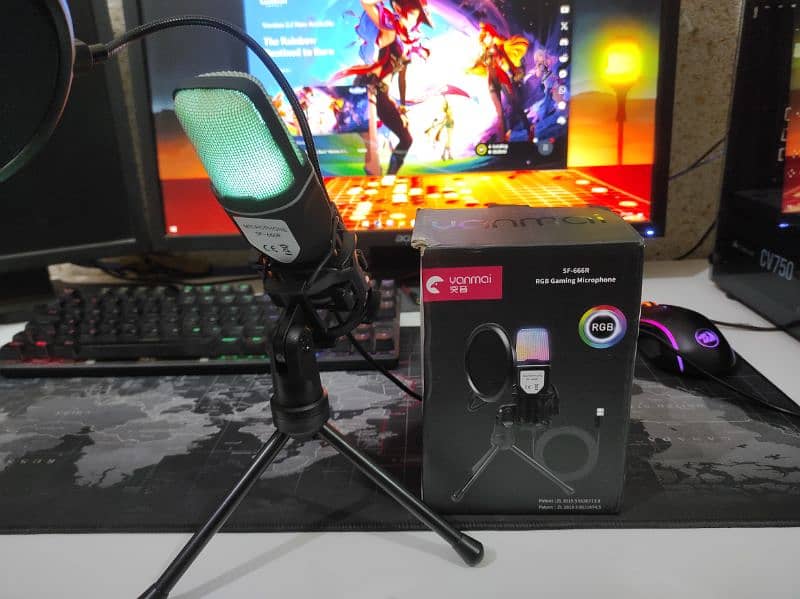 Yanmai SF-666R RGB Mic 2