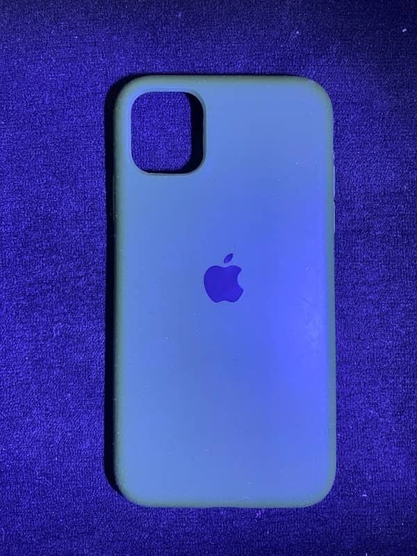 IPhone Case 4