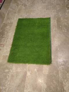 Grass Carpet For Sale