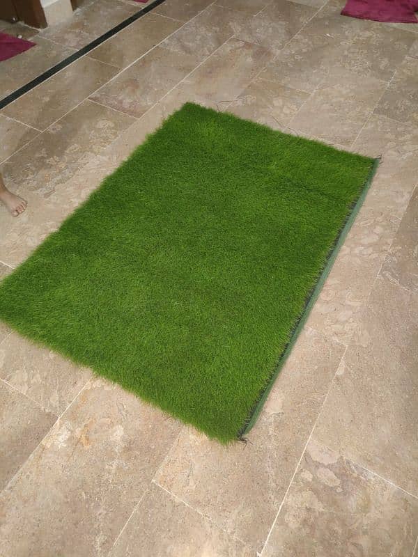 Grass Carpet For Sale 1