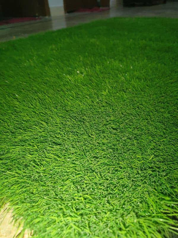 Grass Carpet For Sale 2