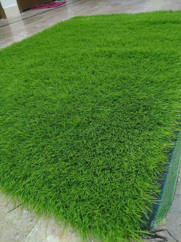 Grass Carpet For Sale 5