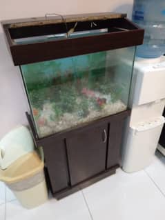 Fish aquarium 0