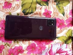 motorola one 5G UW ace pta approve 0