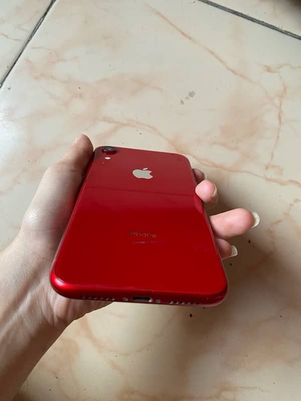 IPHONE XR (NON PTA) 3