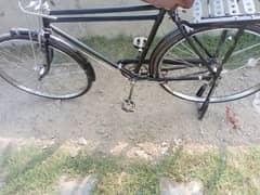 Sohrab 22 inch Cycle