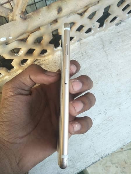 iPhone 6s pta proved number 03266052319 4