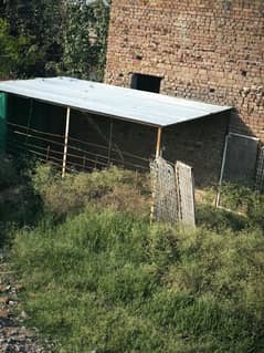 shed for sale