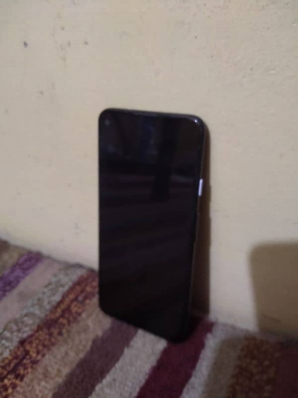 Google Pixel 4a (5g) Panel Dead 1