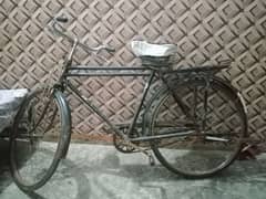 Bicycle sohrab contact 03085600316