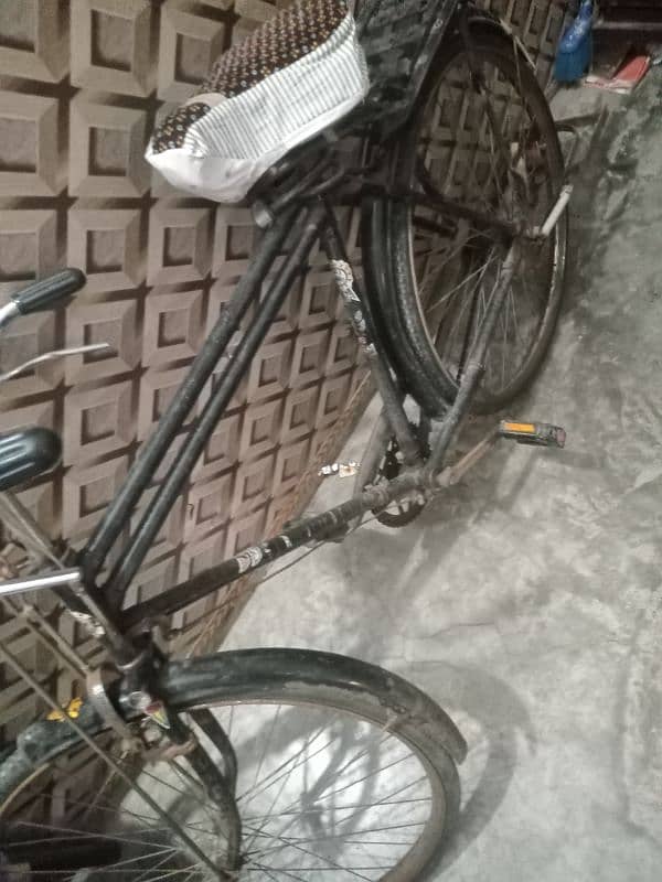 Bicycle sohrab contact 03085600316 3