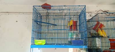 birds cage for sale