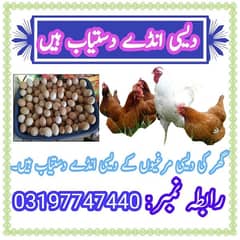 Desi Egg Location Fateh Jang