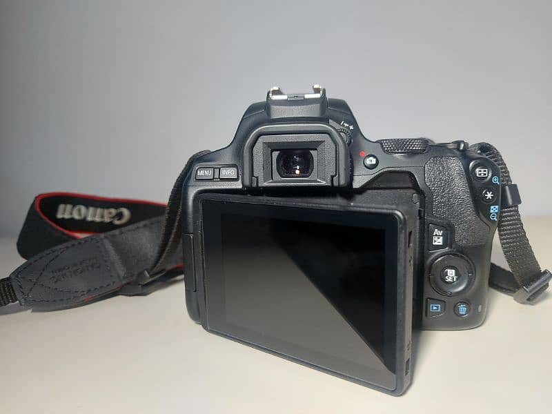 Canon 250D with complete box , 50mm f/1.8 STM lens and lowepro bag 1