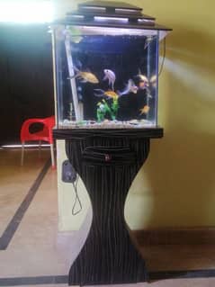 complete aquriam setup including fish for sale