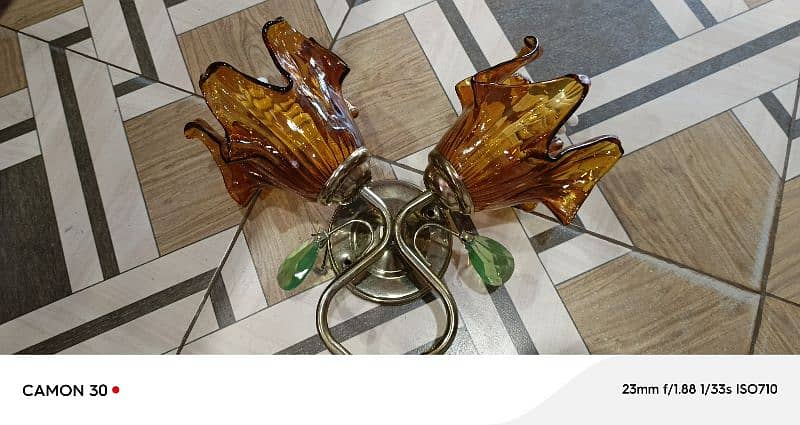 Wall glass lamp very beautiful roses 5