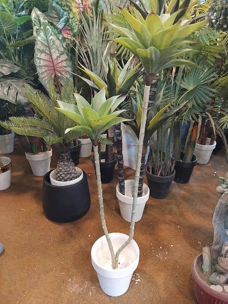 Artificial plants available at very cheap price 3