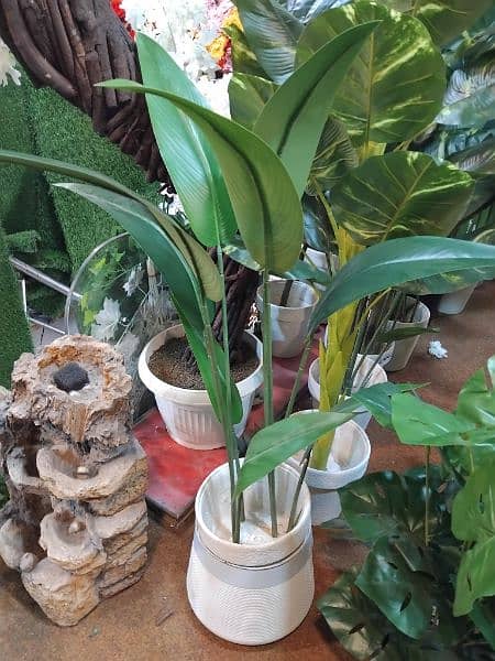 Artificial plants available at very cheap price 5