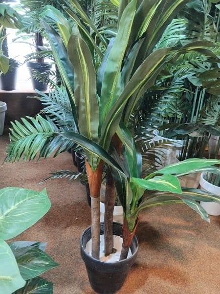 Artificial plants available at very cheap price 10