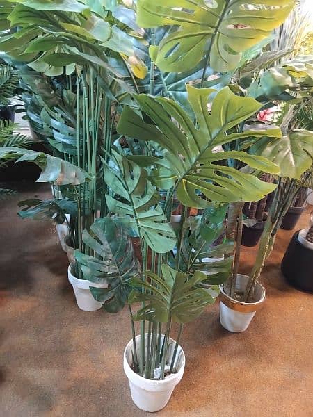 Artificial plants available at very cheap price 11