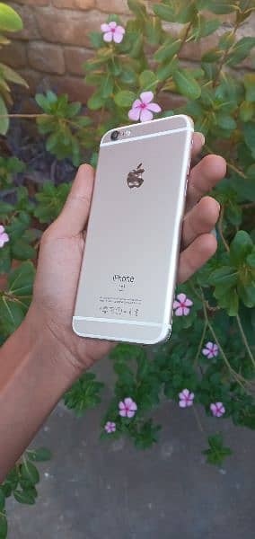 Iphone 6s approve 03414738198 1