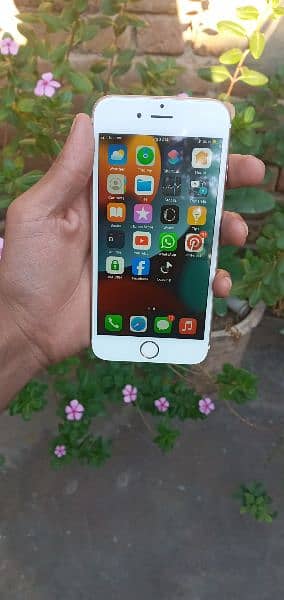 Iphone 6s approve 03414738198 5