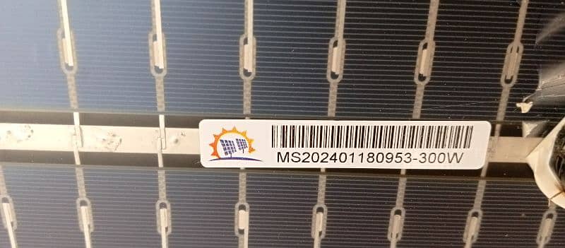 300 watt Maysun solar panels 3