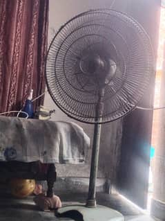 fan for sale