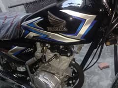 Honda 125 APL 4 2025 0