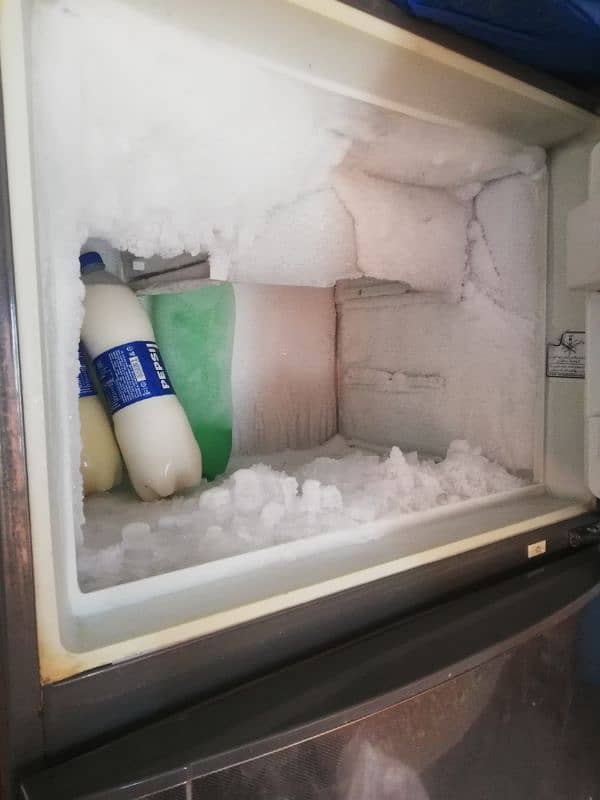 full size fridge 2