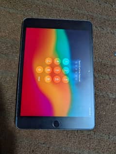 Ipad Mini 5