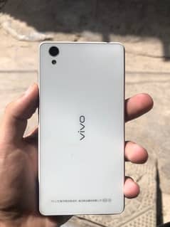 Vivo