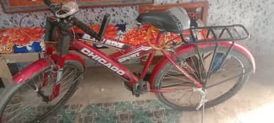 Kids Sports Bicycle